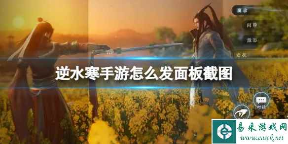 网1