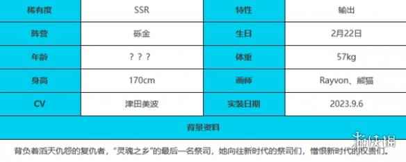 网5