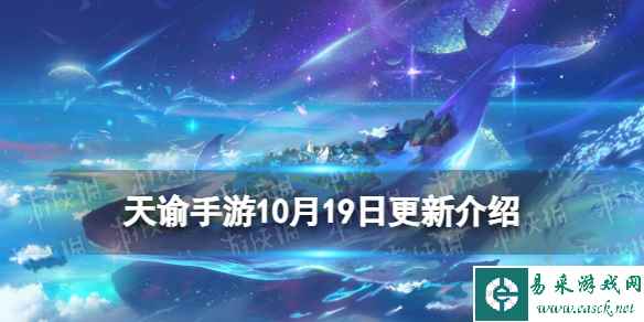 网1