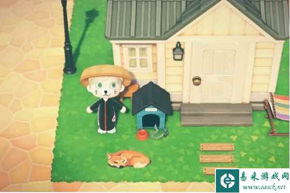 《森之国度》跟从的猫换取方法介绍一览