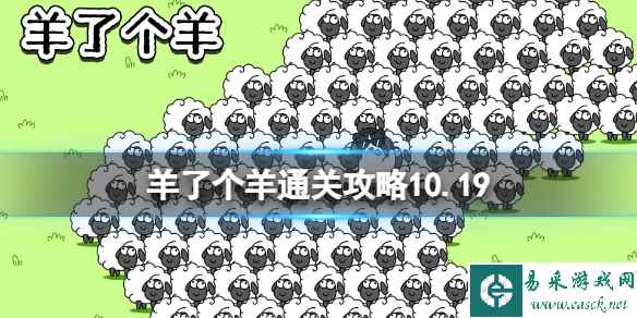 网1