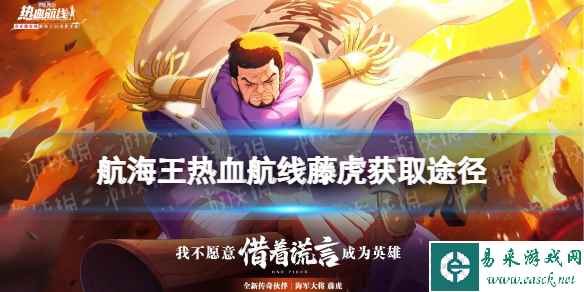 网1