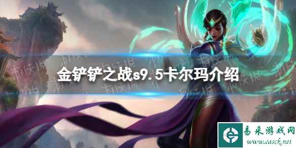 网1