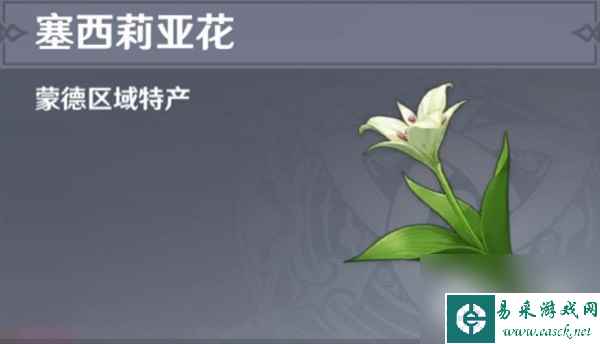 原神4.1版本塞西莉亚花采集路线介绍