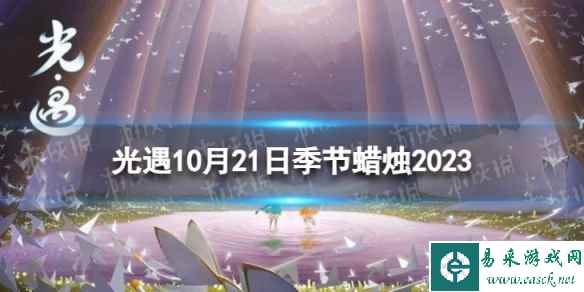 网1