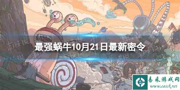 网1