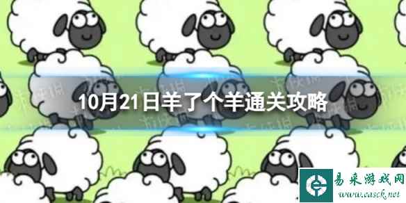 网1