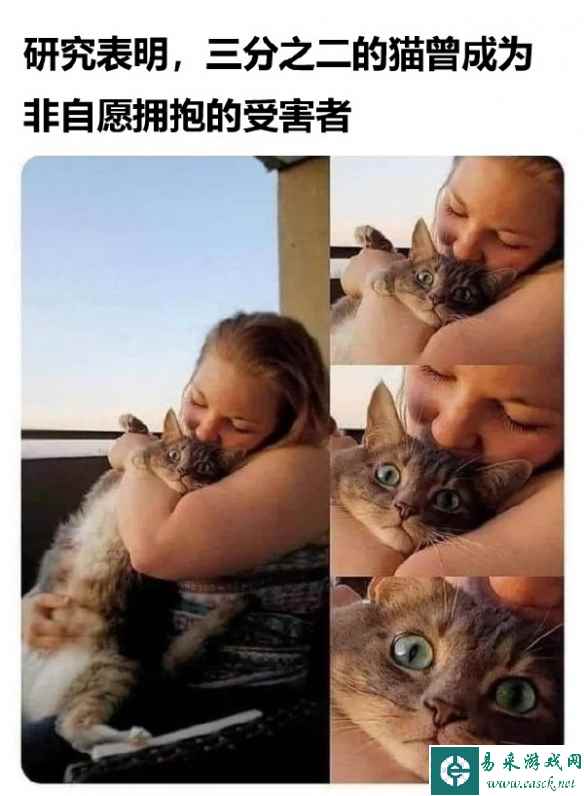 你也是play的一环~ 囧图 我怎么感觉好像被字典骂了