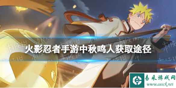 网1