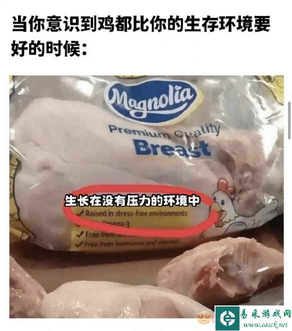 xvideos已经不配有名字了么？ 囧图 野生的CSGO玩家