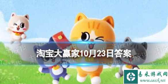 网1