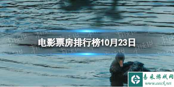网1
