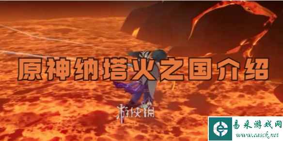 网1