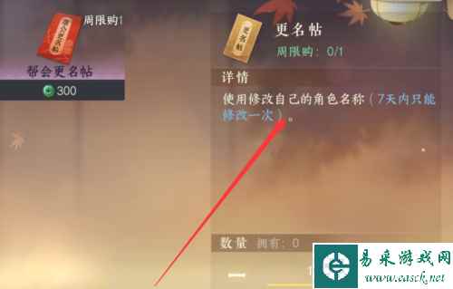网5