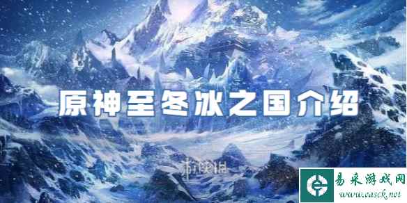 网1