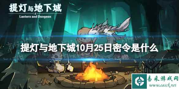 网1