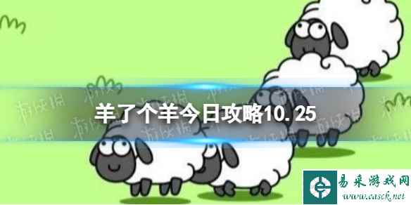 网1