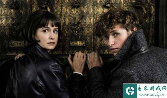 导演：《神奇动物》系列被搁置 但未来很有可能重开