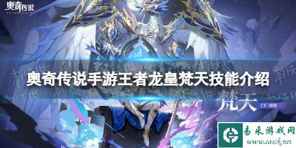 网1