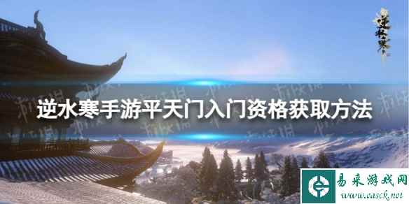 网1
