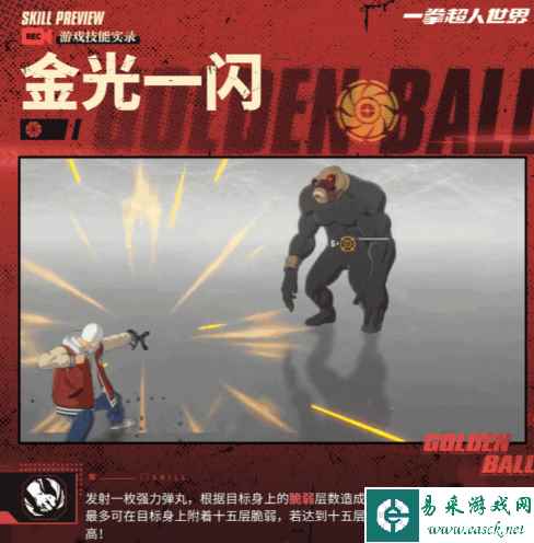网5