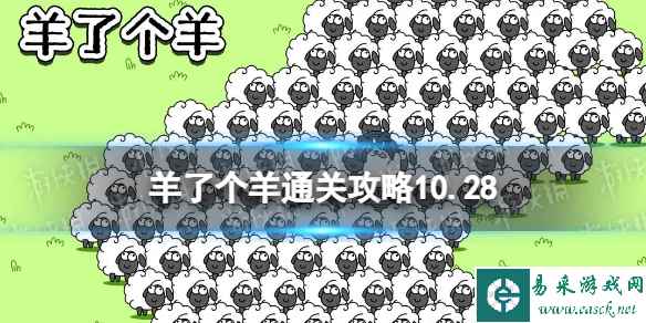 网1