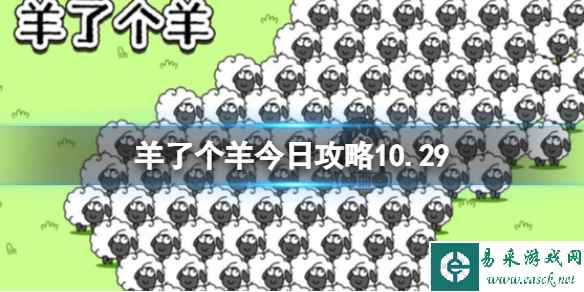 网1