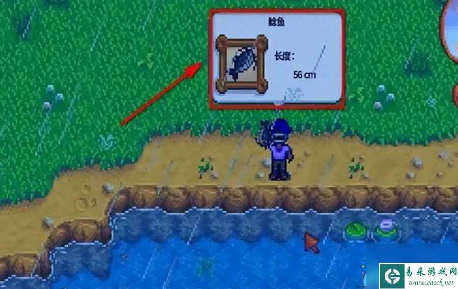 星露谷物语钓鱼怎么玩厉害-钓鱼速刷技巧