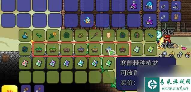 泰拉瑞亚怎么买花盆种植 泰拉瑞亚种植盆获取技巧
