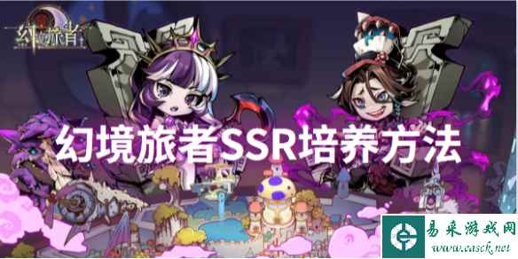 网1