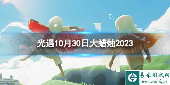 网1