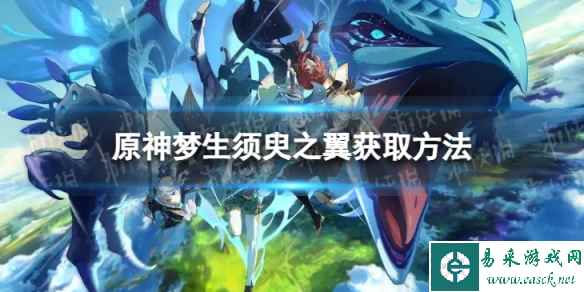 网1