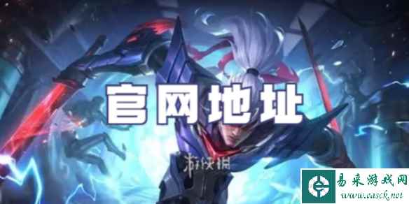 网1