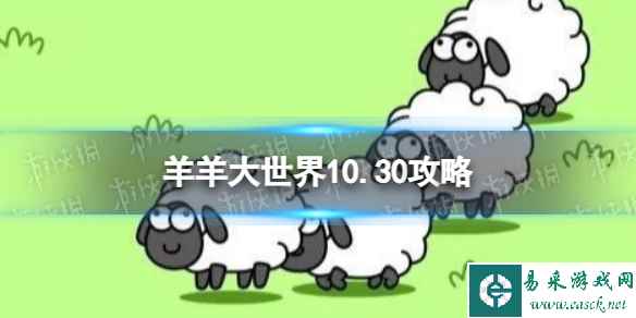 网1