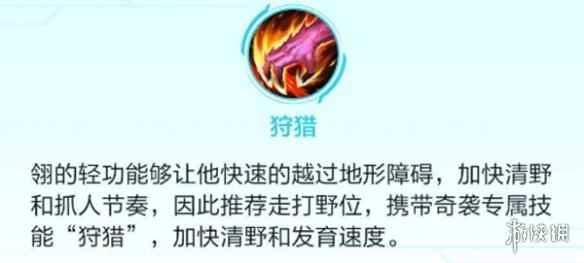 网12