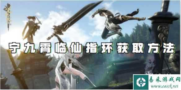 网1