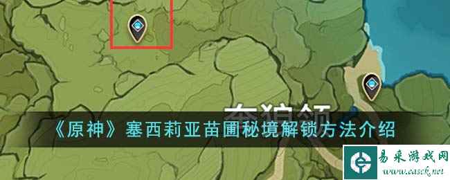 《原神》塞西莉亚苗圃秘境解锁方法介绍