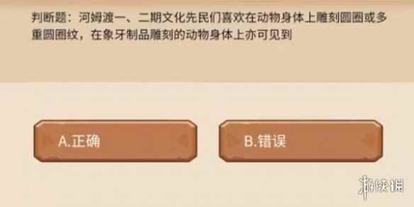 网6