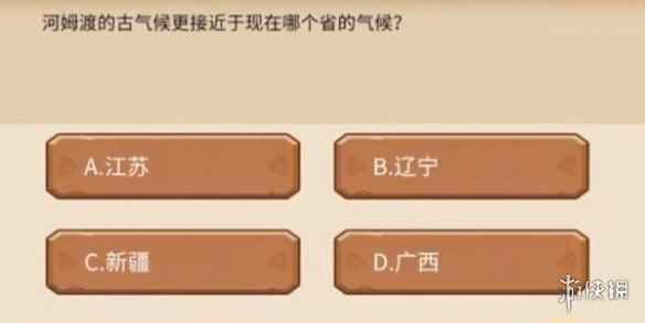 网4
