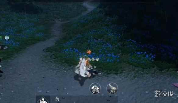 网2