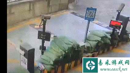 老师还有吗我还想学习更多单词 动图 真有这么弹吗