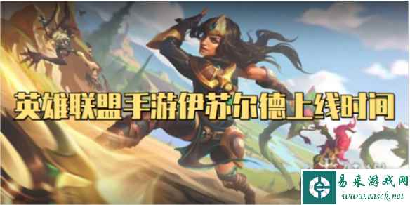 网1