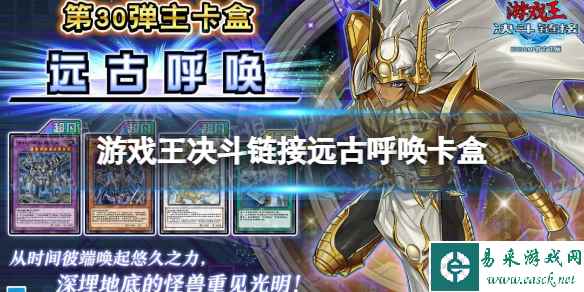 网1