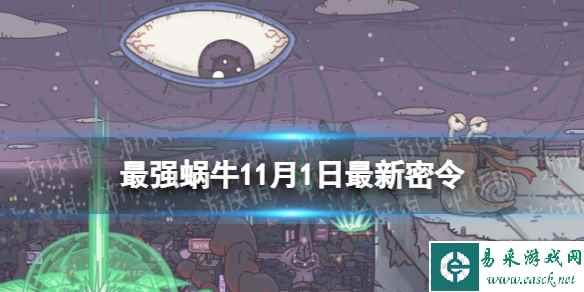 网1