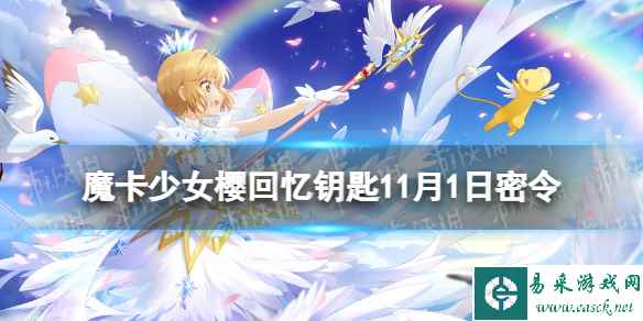 网1