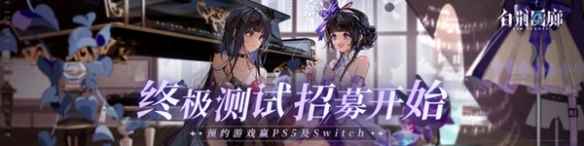 网2