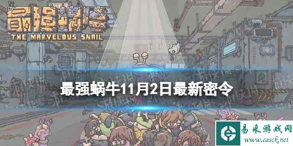 网1
