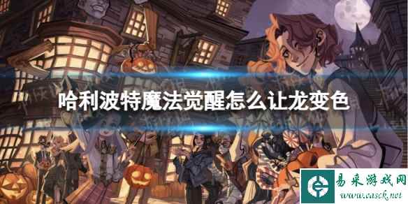 网1