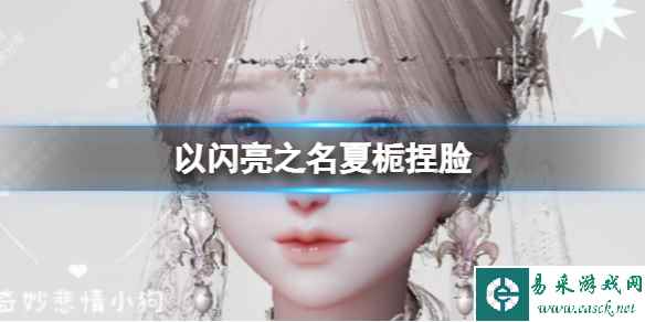 网1