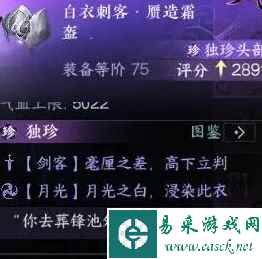 网5